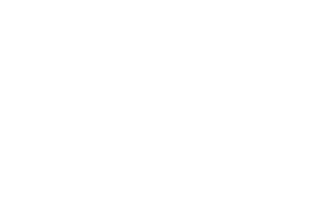 PISPORK