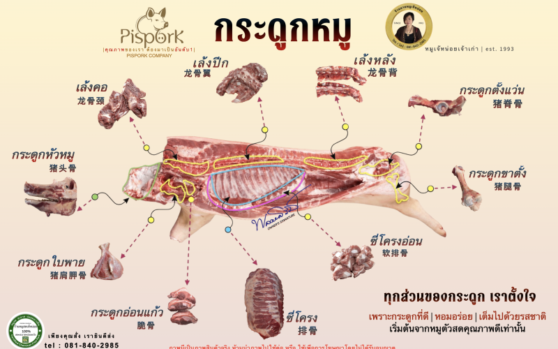 กระดูกหมูทุกส่วน